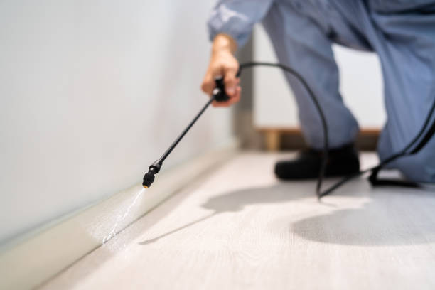 Licensed Pest Control service in Mineral Springs, AR - Show Me Pest Control