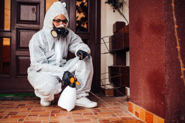 Reliable Wasp Removal contractor in Mineral Springs, AR by Show Me Pest Control